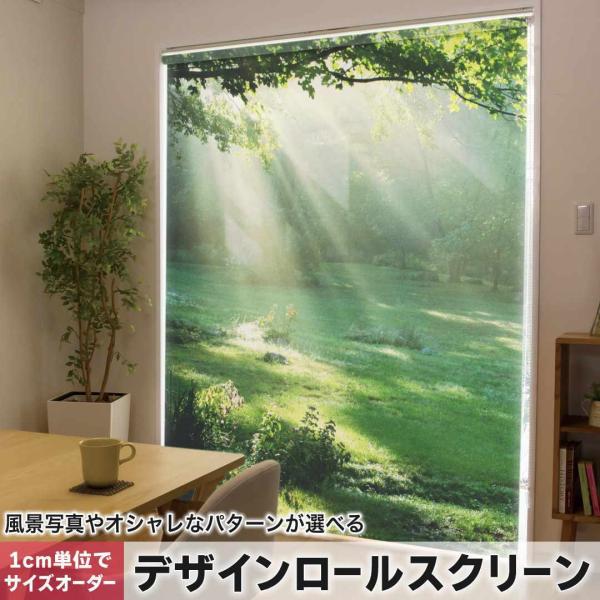 [XN[ [J[e I[_[Ch fUC 004644 ʐ^Ei X@ʐ^@iF