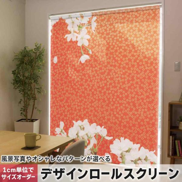 [XN[ [J[e I[_[Ch fUC 005068 t[ @ʐ^@a