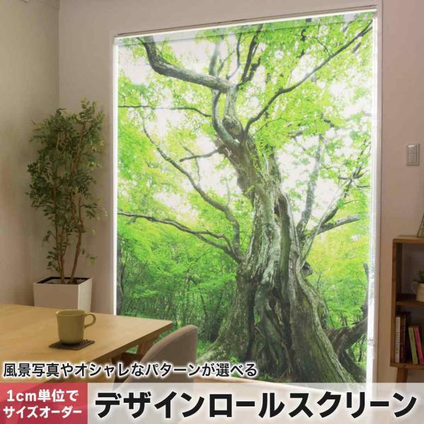 emart_roll-005452-rl