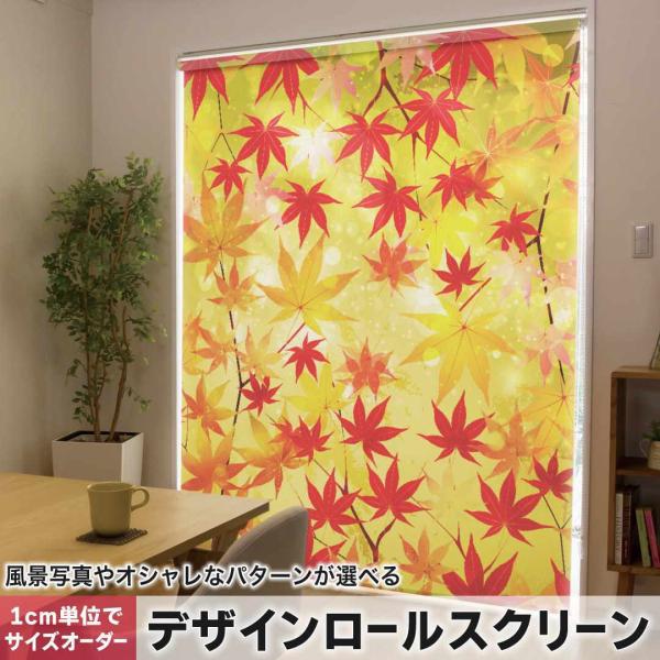 [XN[ [J[e I[_[Ch fUC 005455 ʐ^Ei a@a@gt