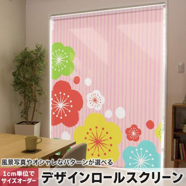 [XN[ [J[e I[_[Ch fUC 005509 ̑ a@a@ԁ@t[