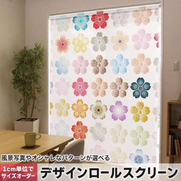 [XN[ [J[e I[_[Ch fUC 005537 `FbNE{[_[ ԁ@a@a