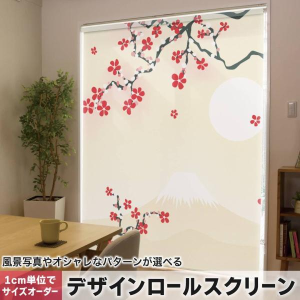 [XN[ [J[e I[_[Ch fUC 005595 t[ a@a@