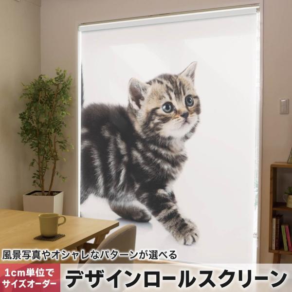 [XN[ [J[e I[_[Ch fUC 005930 Aj} ʐ^Ei ʐ^@@L@˂