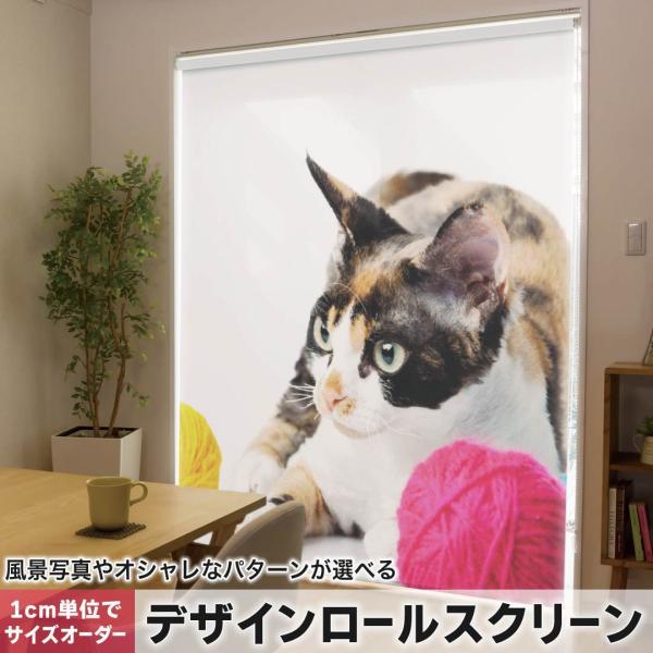 [XN[ [J[e I[_[Ch fUC 005939 ʐ^Ei Aj} ʐ^@@L@˂