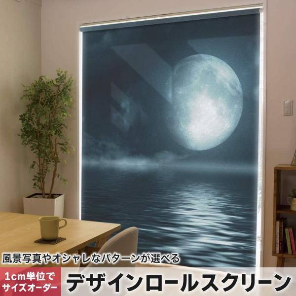 [XN[ [J[e I[_[Ch fUC 006034 ʐ^Ei C@@