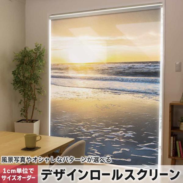 [XN[ [J[e I[_[Ch fUC 006548 ʐ^Ei ʐ^@C@[