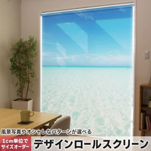 [XN[ [J[e I[_[Ch fUC 006724 ʐ^Ei ʐ^@C@