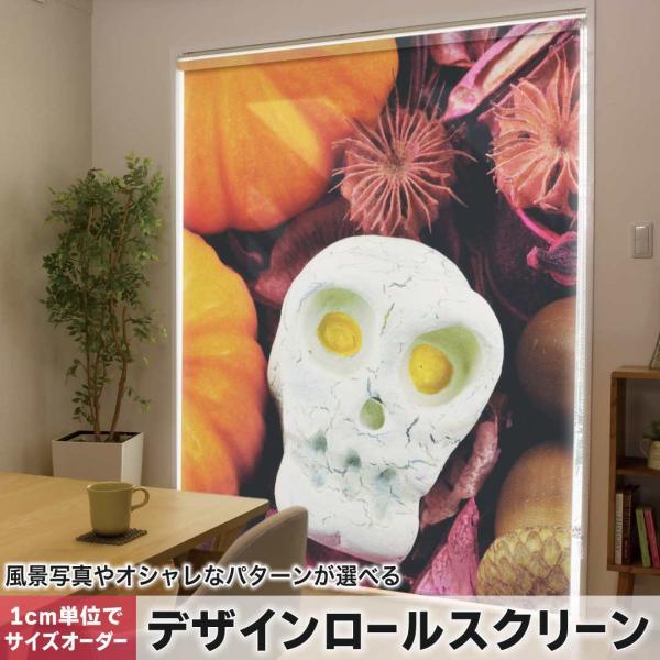 [XN[ [J[e I[_[Ch fUC 007956 j[N ʐ^@J{`@nEB@[@hN