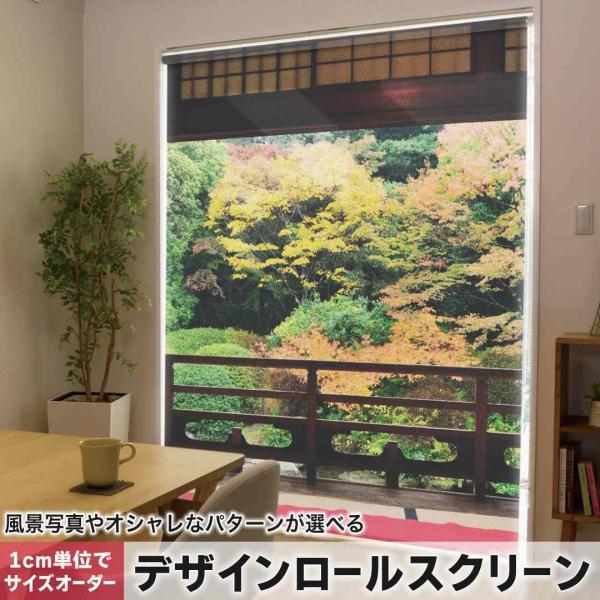 [XN[ [J[e I[_[Ch fUC 008066 ʐ^Ei ʐ^@a@@H@gt