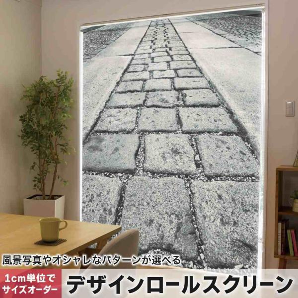 [XN[ [J[e I[_[Ch fUC 008495 ʐ^Ei ʐ^@K@mN