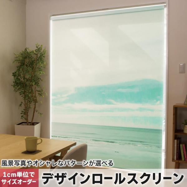 [XN[ [J[e I[_[Ch fUC 008671 ʐ^Ei ʐ^@@C@l