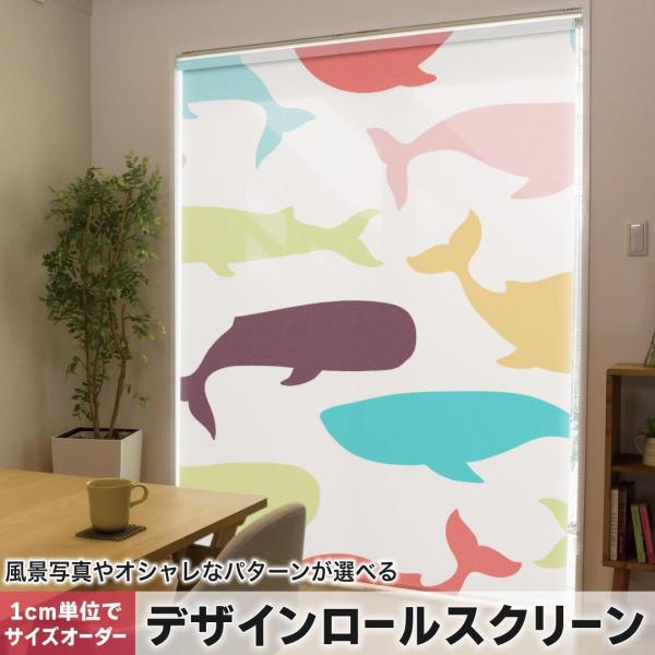 [XN[ [J[e I[_[Ch fUC 009452  @@Jt