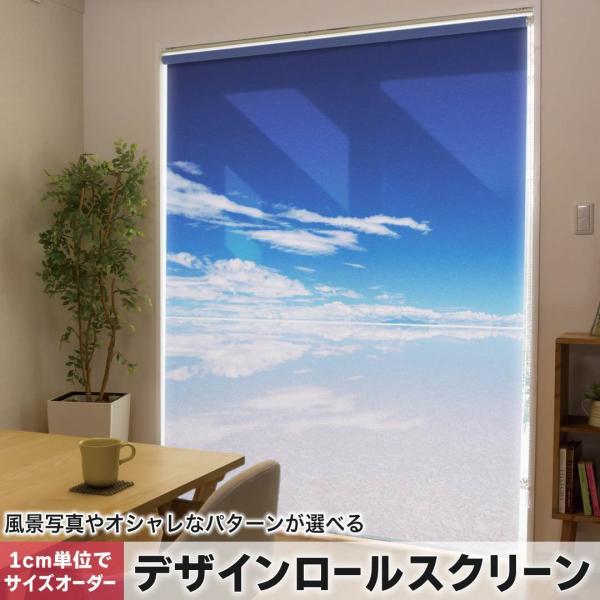 [XN[ [J[e I[_[Ch fUC 009610  i@@C@ʐ^