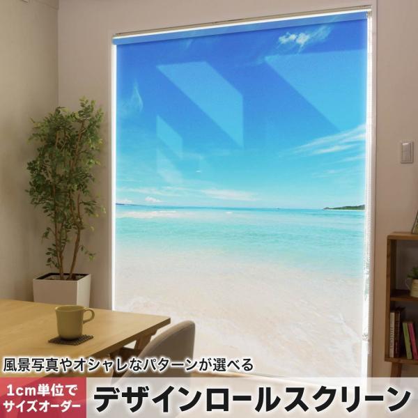 [XN[ [J[e I[_[Ch fUC 009637  i@C@@ʐ^