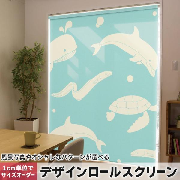 [XN[ [J[e I[_[Ch fUC 010526  C@@