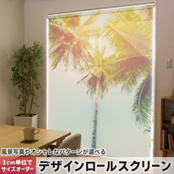 [XN[ [J[e I[_[Ch fUC 010529  V̖؁@i