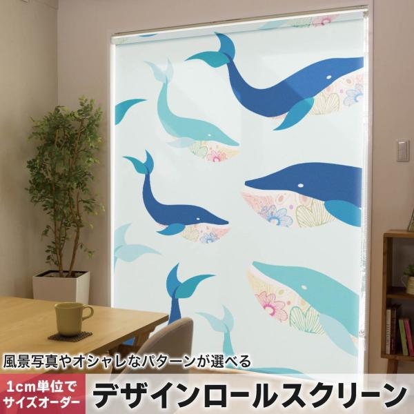 [XN[ [J[e I[_[Ch fUC 010550  @C@t[