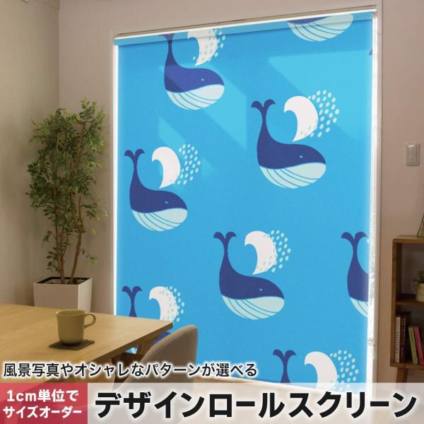 [XN[ [J[e I[_[Ch fUC 010558  C@@