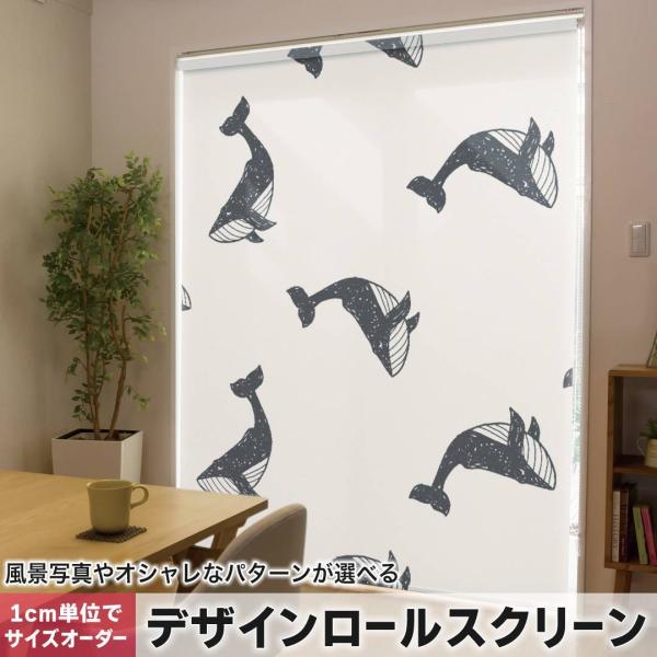 [XN[ [J[e I[_[Ch fUC 010712  @C@