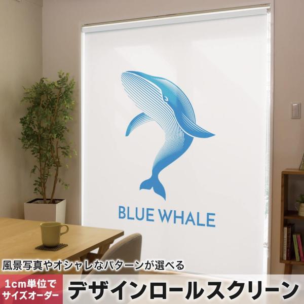 [XN[ [J[e I[_[Ch fUC 010929  C@@