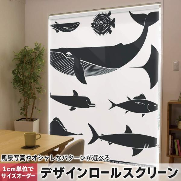 [XN[ [J[e I[_[Ch fUC 010961  C@@