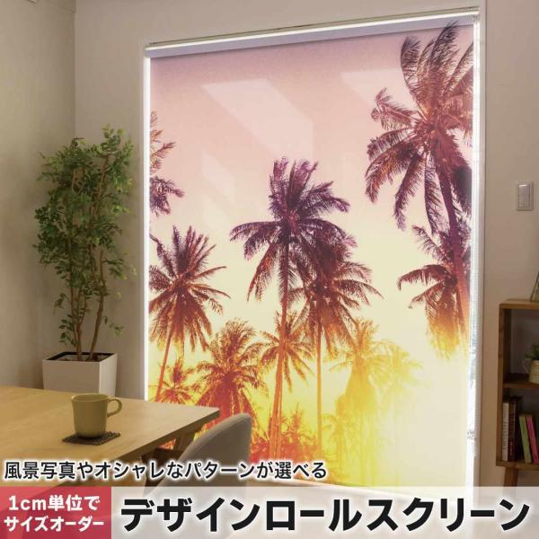 [XN[ [J[e I[_[Ch fUC 011302  ā@V̖؁@[