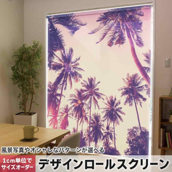 [XN[ [J[e I[_[Ch fUC 011308  ā@V̖؁@[