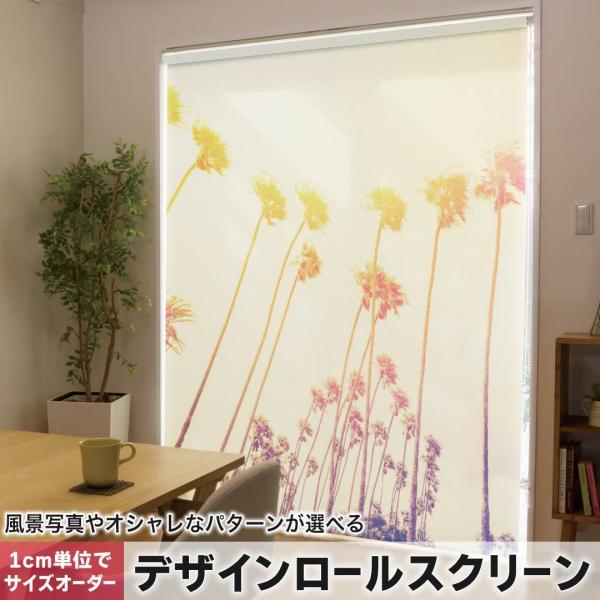 [XN[ [J[e I[_[Ch fUC 011327  ā@V̖؁@[