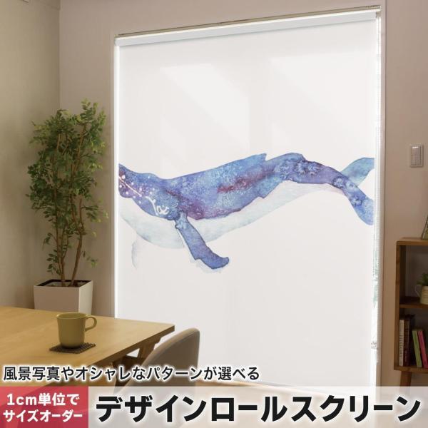 [XN[ [J[e I[_[Ch fUC 011406  C@@