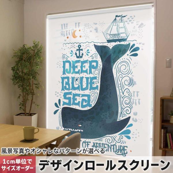 [XN[ [J[e I[_[Ch fUC 011912  p@@C