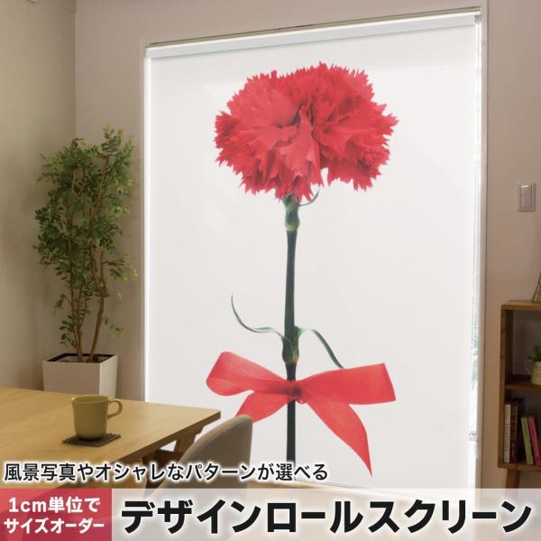 [XN[ [J[e I[_[Ch fUC 012929  ̓@J[l[V@