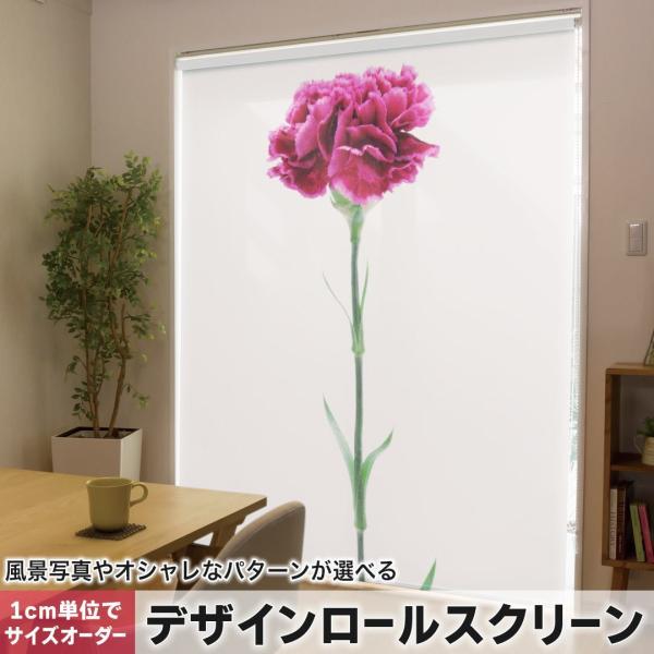 [XN[ [J[e I[_[Ch fUC 012933  ̓@J[l[V@