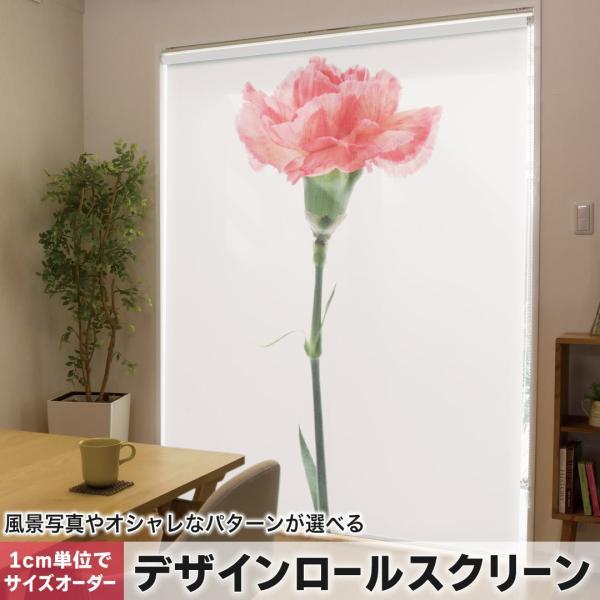 [XN[ [J[e I[_[Ch fUC 012935  ̓@J[l[V@