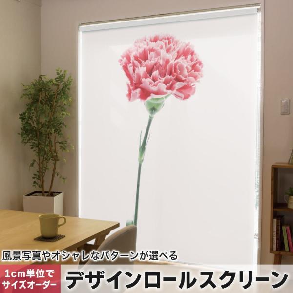 [XN[ [J[e I[_[Ch fUC 012937  ̓@J[l[V@