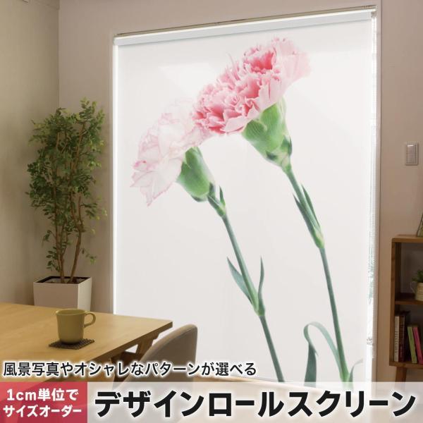 [XN[ [J[e I[_[Ch fUC 012938  ̓@J[l[V@