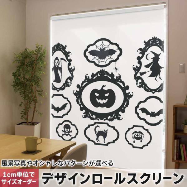 [XN[ [J[e I[_[Ch fUC 013311  ڂ@@nEB