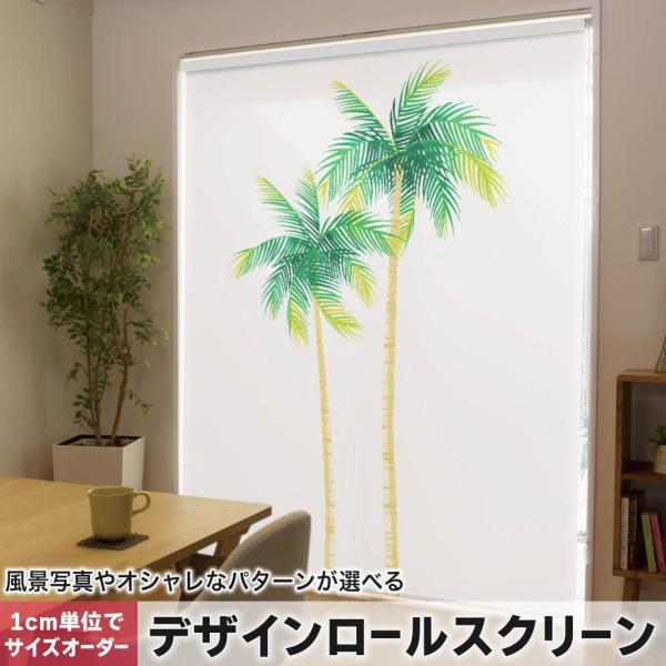 [XN[ [J[e I[_[Ch fUC 013755  V̖؁@ā@gsJ