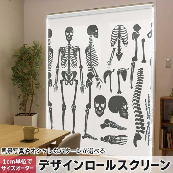 [XN[ [J[e I[_[Ch fUC 013822  [@͌^