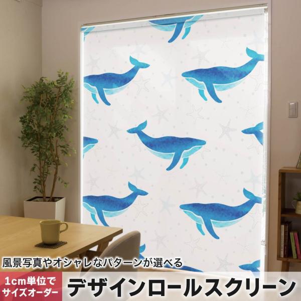 [XN[ [J[e I[_[Ch fUC 013908  NW@C@Aj}