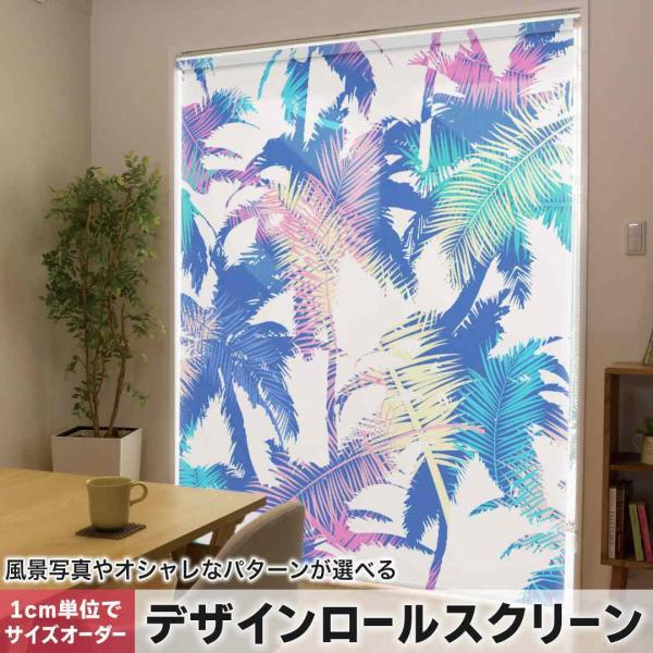 [XN[ [J[e I[_[Ch fUC 014318  [t@gsJ@V̖