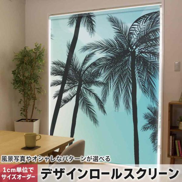 [XN[ [J[e I[_[Ch fUC 014367  V̖؁@gsJ