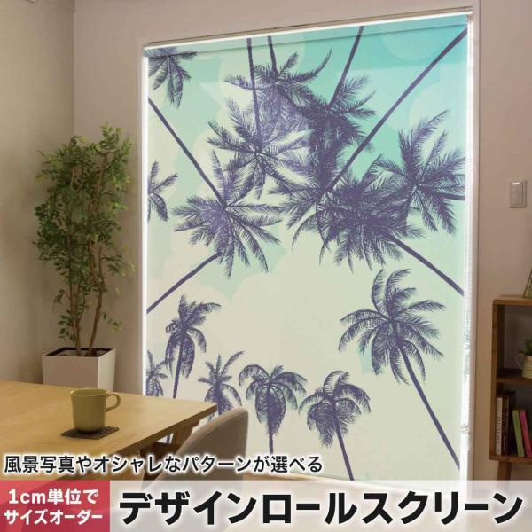 [XN[ [J[e I[_[Ch fUC 014368  V̖؁@gsJ