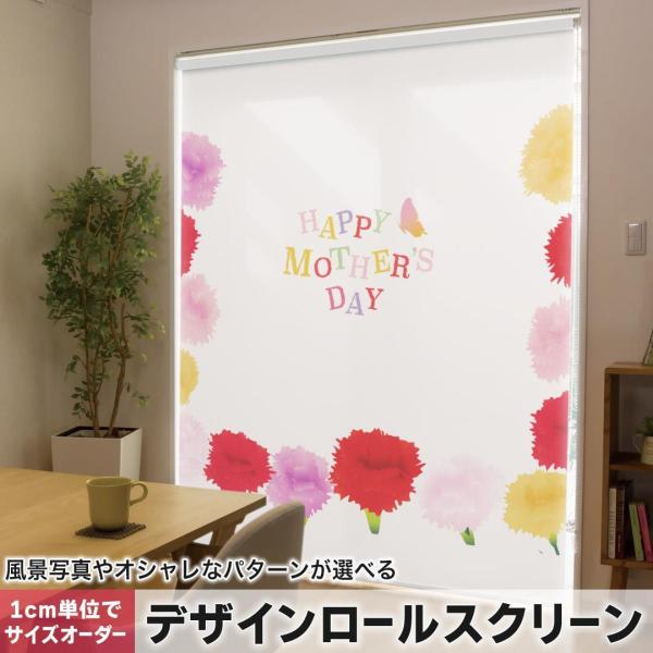 [XN[ [J[e I[_[Ch fUC 015313  ̓@o@ԁ@@J[l[V