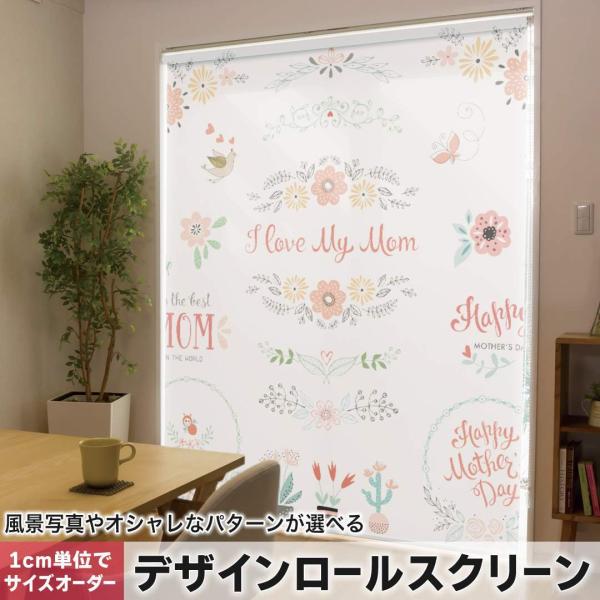 [XN[ [J[e I[_[Ch fUC 015337 1 ̓ o   J[l[V p