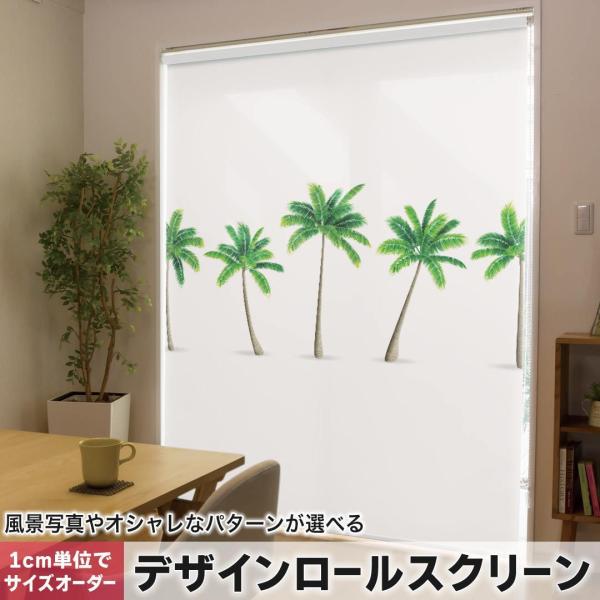 [XN[ [J[e I[_[Ch fUC 015635  ؁@V̖؁@R