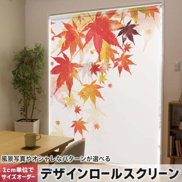 [XN[ [J[e I[_[Ch fUC 015654  a@gt@a