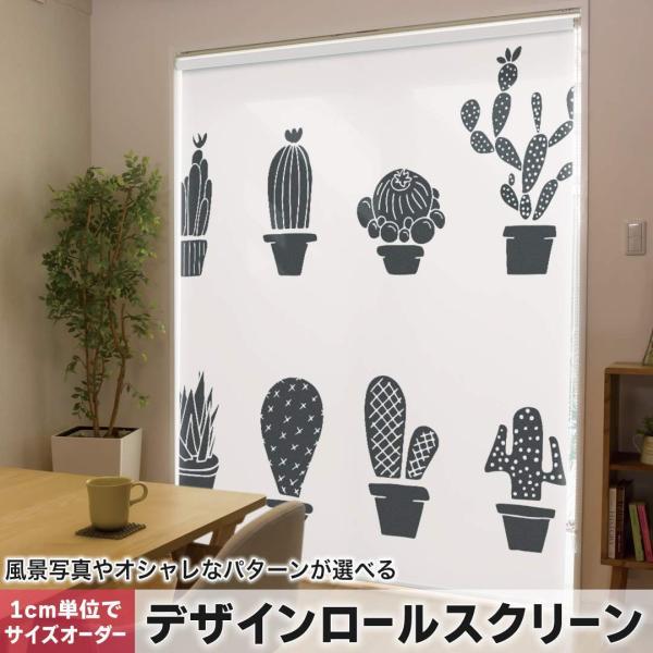 [XN[ [J[e I[_[Ch fUC 015702  ؁@A@mN@T{e