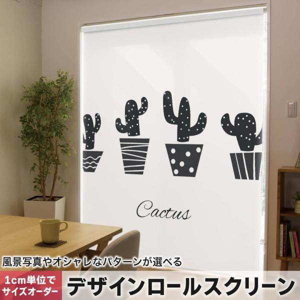 [XN[ [J[e I[_[Ch fUC 015713  ؁@A@mN@T{e