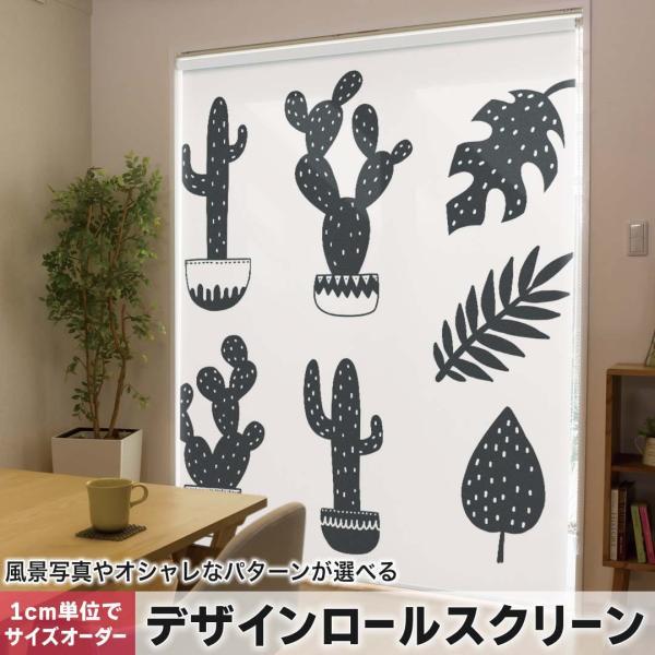 [XN[ [J[e I[_[Ch fUC 015722  ؁@A@mN@T{e